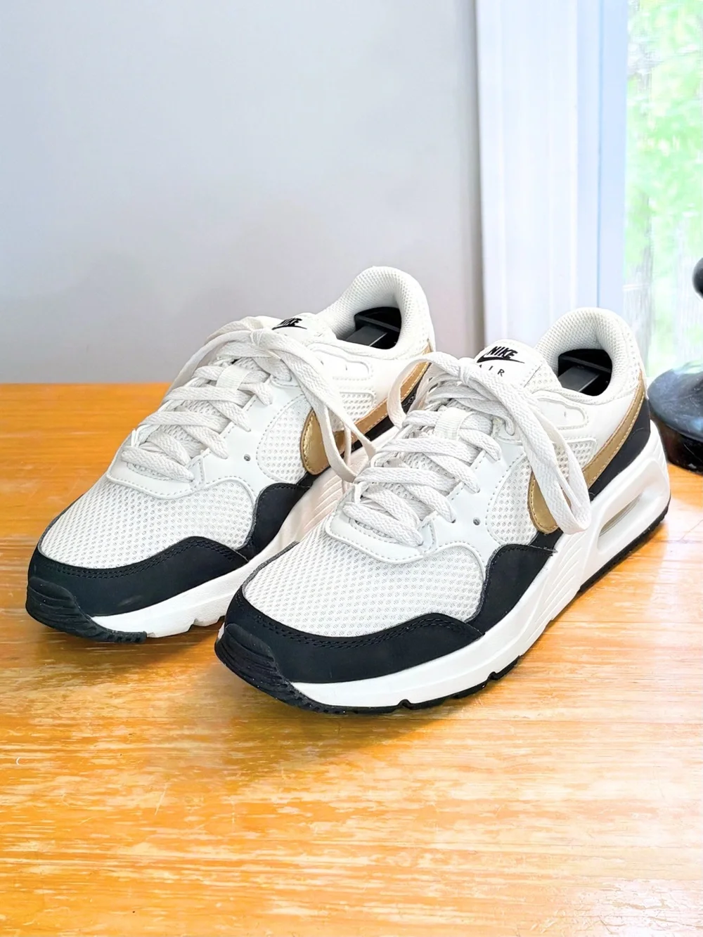 Nike Air Max SC SE Women’s Shoe